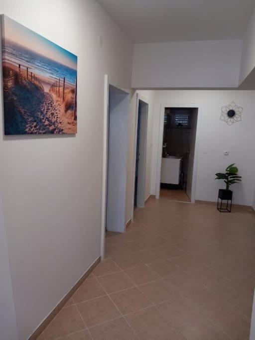 Apartment Dora-100M From The Central Beach Makarska Ngoại thất bức ảnh